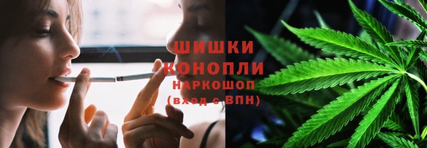 apvp Гусь-Хрустальный