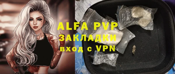 apvp Гусь-Хрустальный